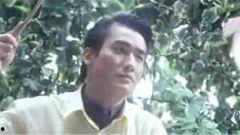 花蝴蝶电影,翩翩起舞的青春传奇